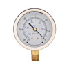 Lamonde Products 2.5 Inch Dial (Stainless Case, Brass Wetted Parts)