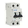 Lamonde Products Double Pole Supplementary Protectors (0.5A-63A, FAZ Series)