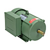 Lamonde Products AC Motors - Farm Duty, 1-Phase, IronHorse (2 - 5HP)