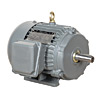 Lamonde Products 3-Phase Motors, T-Frame, Premium Efficiency (1 - 300HP)