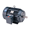 lamonde Products Marathon NEMA Premium Blue Chip XRI (15HP to 100HP)
