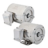 Lamonde Products AC Motors - Stainless Steel, 3-Phase, Marathon (0.33-2HP)