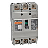 Lamonde Products Double Pole Mini Circuit Breakers (05A-40A, FAZ-NA Series)