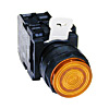 Lamonde Products Illuminated Pushbuttons Lamonde Products Illuminated Pushbuttons